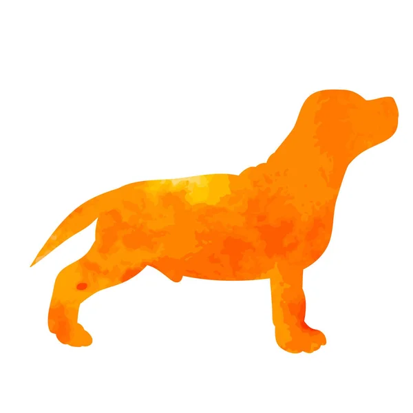 Vit Bakgrund Orange Akvarell Siluett Hund Stående — Stock vektor