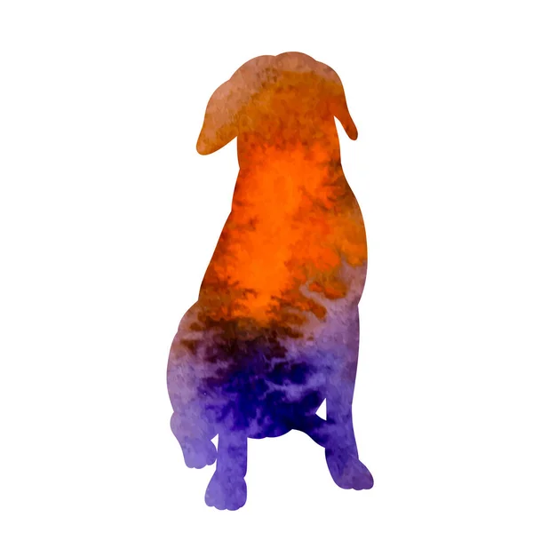 Vektor Vit Bakgrund Orange Akvarell Siluett Hund Sitter — Stock vektor