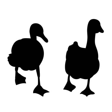 Beyaz arkaplan siluet ördeğinde izole edilmiş vektör