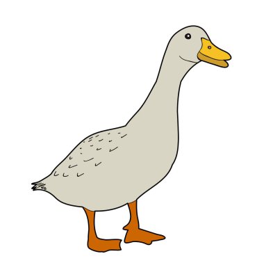 vektör, izole kuş kaz, beyaz arkaplanda ördek