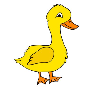 Kaz karakteri, izole vektör