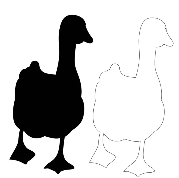 孤立的鹅和鸭的轮廓 — 图库矢量图片