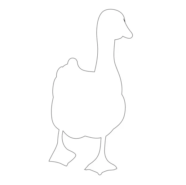 Isolated Contour Duck White Background — Stock Vector