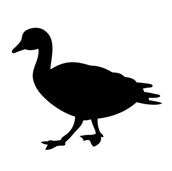 Vector Isolated White Background Duck — Stock Vector