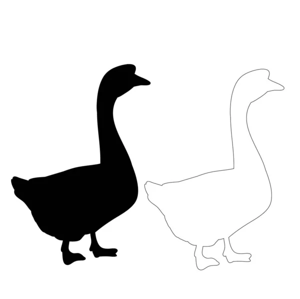 Vector Silueta Aislada Gansos Patos — Vector de stock