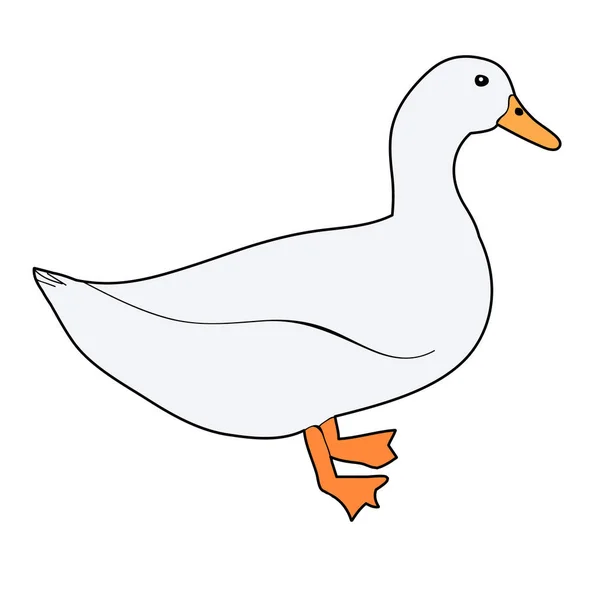 Oie Canard Sur Fond Blanc — Image vectorielle