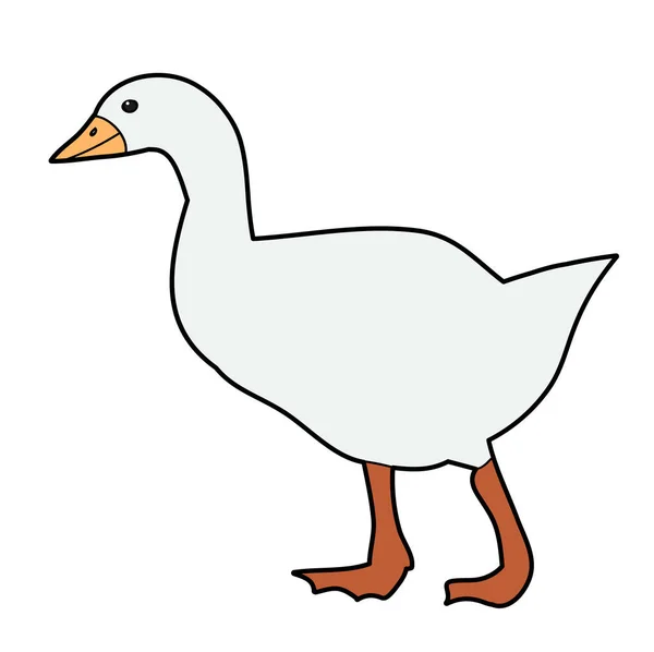 Vector Isolated Bird Goose Duck — Stock Vector