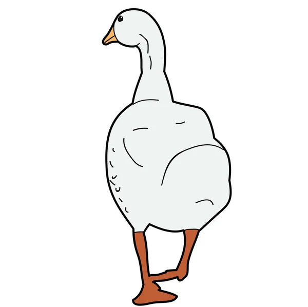 Vector Isolated Bird Goose Duck — Stock Vector