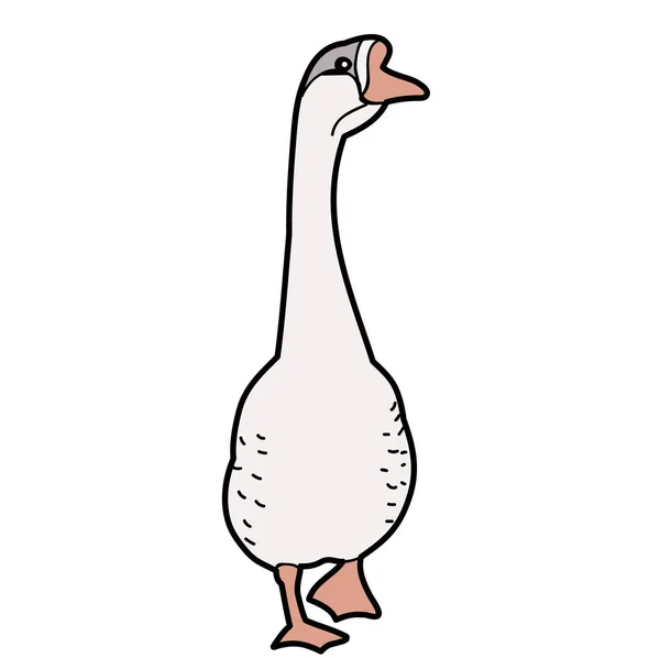 Ente Auf Weißem Hintergrund — Stockvektor