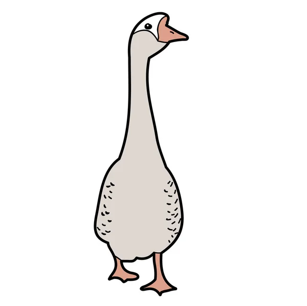 Oie Canard Sur Fond Blanc — Image vectorielle