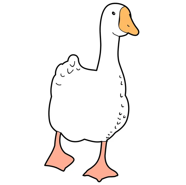 Kachna Bílém Pozadí — Stockový vektor