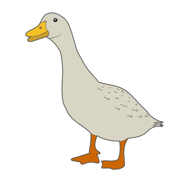 Vector Isolated Goose Duck White Background — Stock Vector