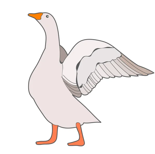 Vector Gans Vogel Witte Achtergrond — Stockvector