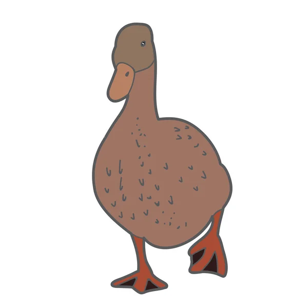 Vector Ganso Aislado Pato Pájaro — Vector de stock