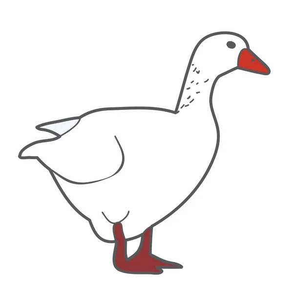 Vector Isolated Goose Duck White — Stock Vector