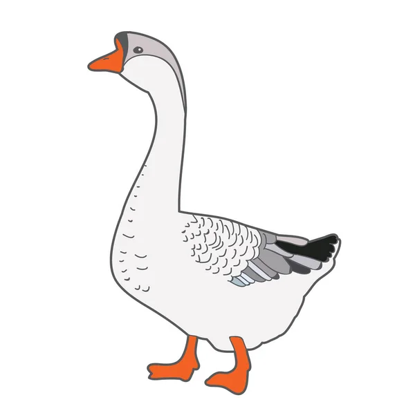 Vector Isolated Goose White Background — Stock Vector