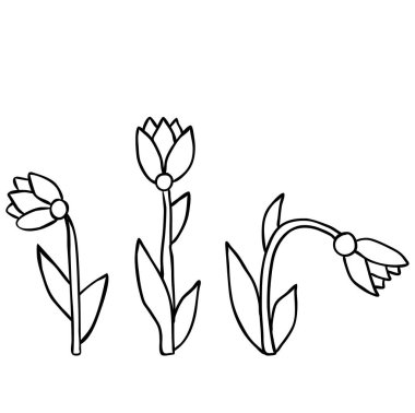 çiçekler, çocuklar için, kitap boyama sayfaları