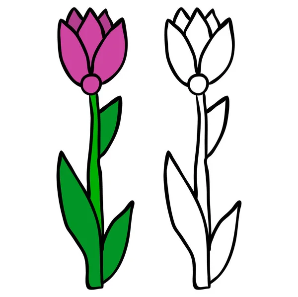 Fleur Isolée Livre Colorier — Image vectorielle