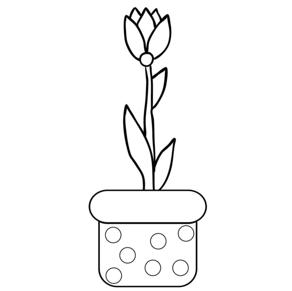 Vecteur Fleur Isolée Dans Pot Livre Colorier — Image vectorielle