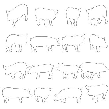 vektör, izole edilmiş domuz kümesi