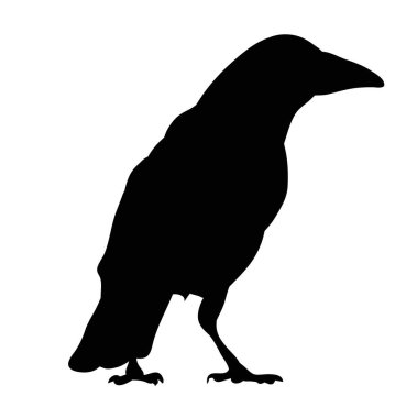 Karga silueti, kuş silueti