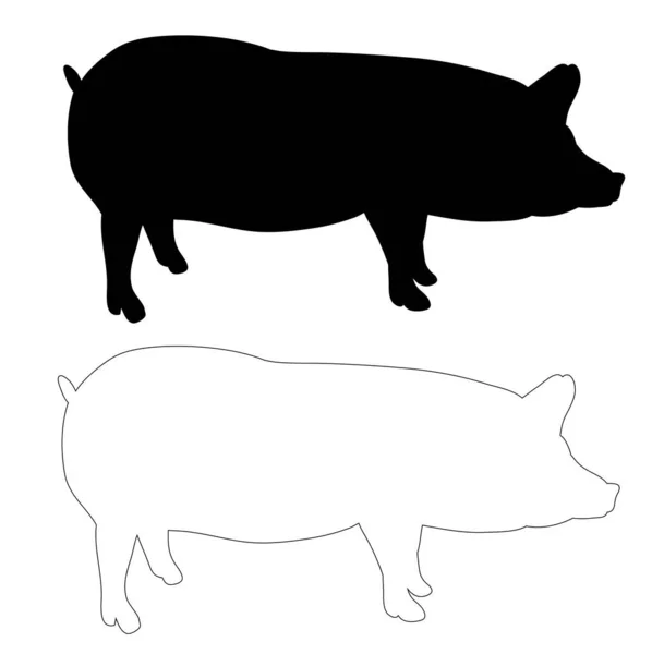 Silhouette Porc Isolée Contour — Image vectorielle