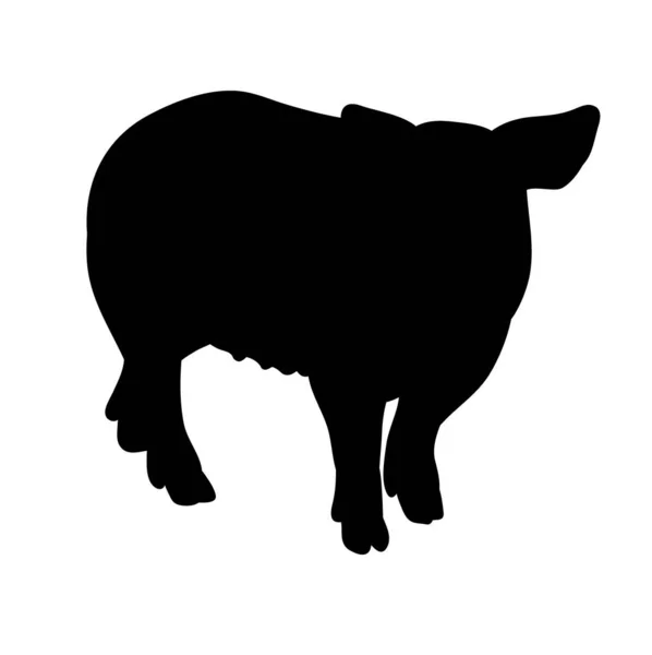 Vector Silhouette Pig Isolated — Stock Vector