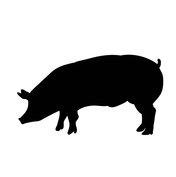 Silhouette Porc Isolée — Image vectorielle