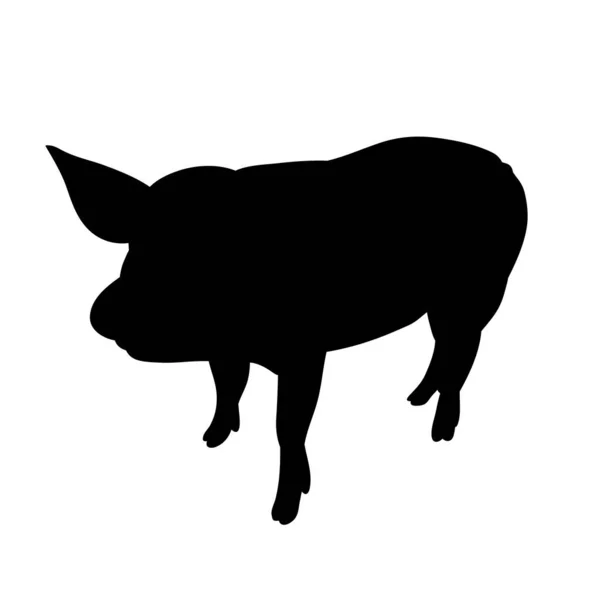 Silhouette Porc Isolée — Image vectorielle