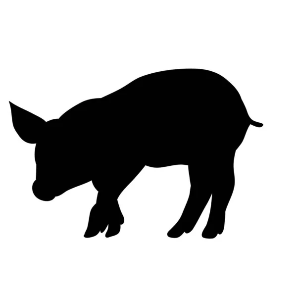 Silhouette Pig Isolated Pet — Stock Vector
