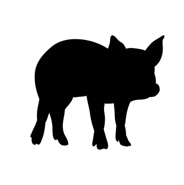 Silhouette Porc Isolé Vecteur — Image vectorielle