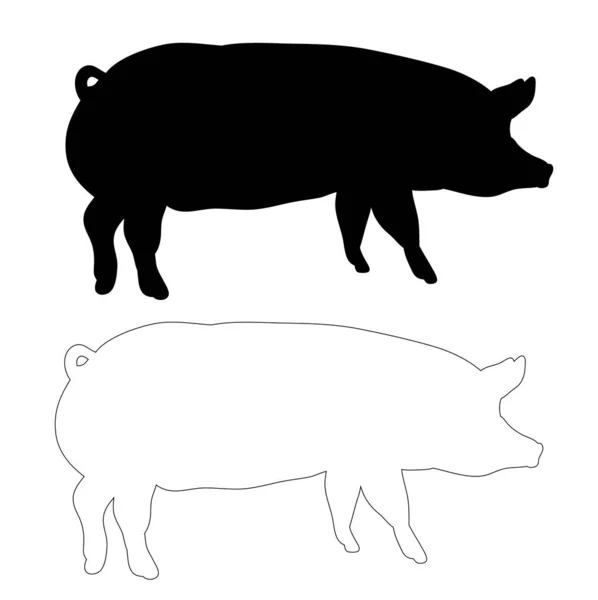 Silueta Cerdo Contornos Cerdo — Vector de stock