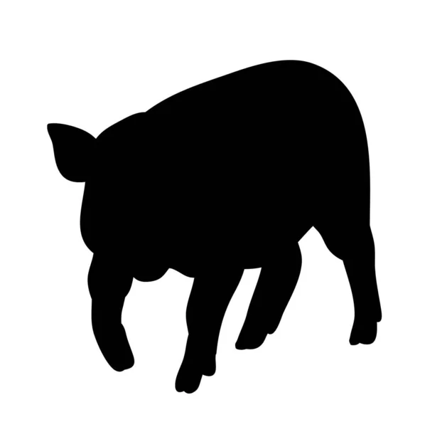 Vector Isolated Silhouette Pig — Stock Vector