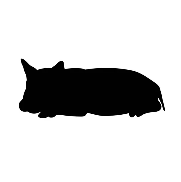 Vecteur Silhouette Isolée Porc Mensonges — Image vectorielle