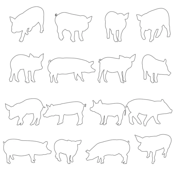 Vecteur Ensemble Porcs Contour Isolé — Image vectorielle