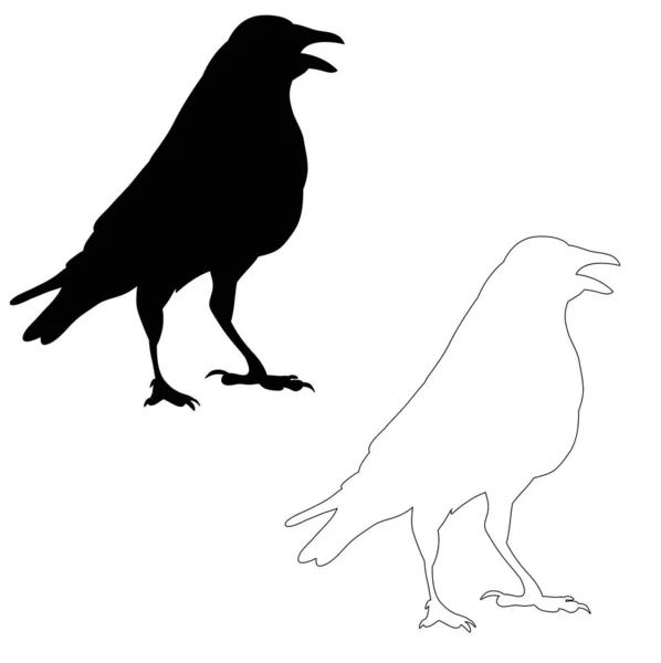 Vecteur Corbeaux Silhouette Contour Des Oiseaux — Image vectorielle
