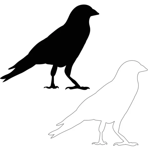 Silhouette Eines Vogels Krähe Skizze — Stockvektor