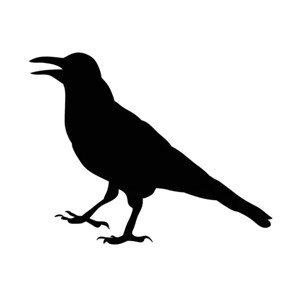 Silueta Pájaro Cuervo Aislado Vector — Vector de stock