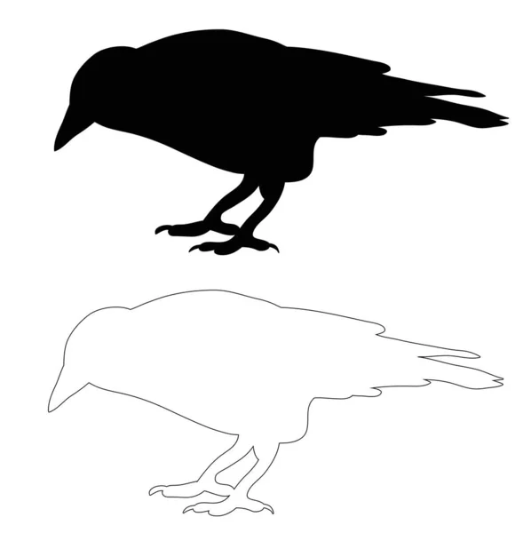 Silueta Pájaro Cuervo Boceto Aislado — Vector de stock