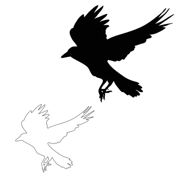 Silhouette Vectorielle Des Mouches Corbeau — Image vectorielle