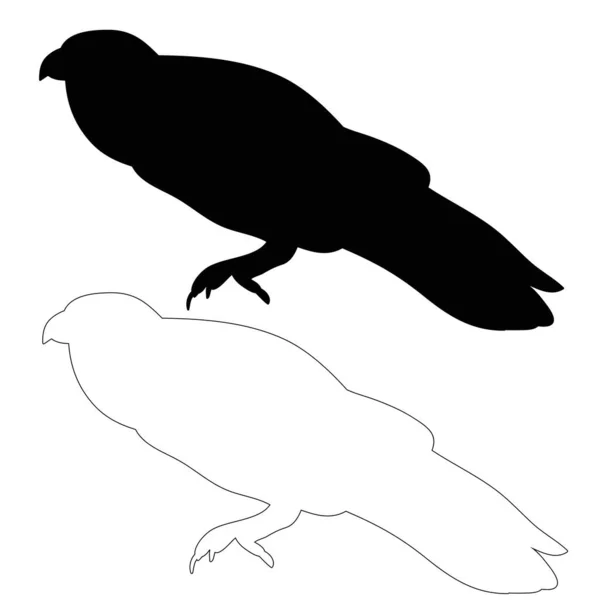 Vector Geïsoleerde Silhouetraven Vogels — Stockvector