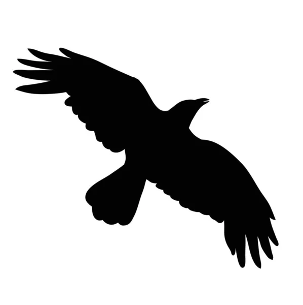 Silueta Cuervos Aves Volando — Vector de stock