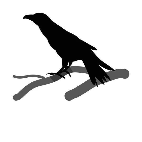 Silhouette Bird Ravens — Stock Vector