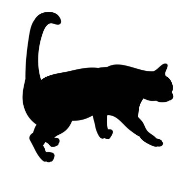 İzole edilmiş, siyah bir kedi silueti geliyor.