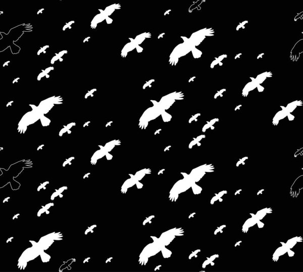 vector, seamless black silhouette birds background