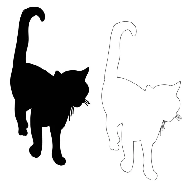 Silhouette Einer Katze Geht — Stockvektor