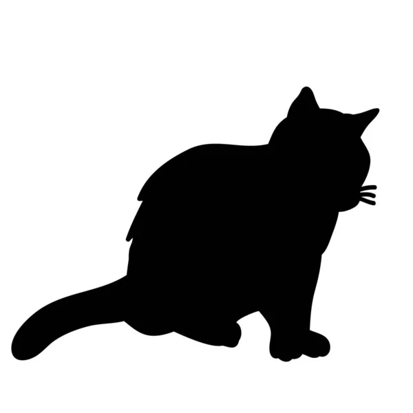 Black Silhouette Cat Sitting — Stock Vector