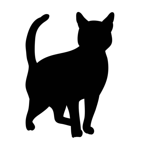 Izolovaná Silueta Kočky Chystá — Stockový vektor