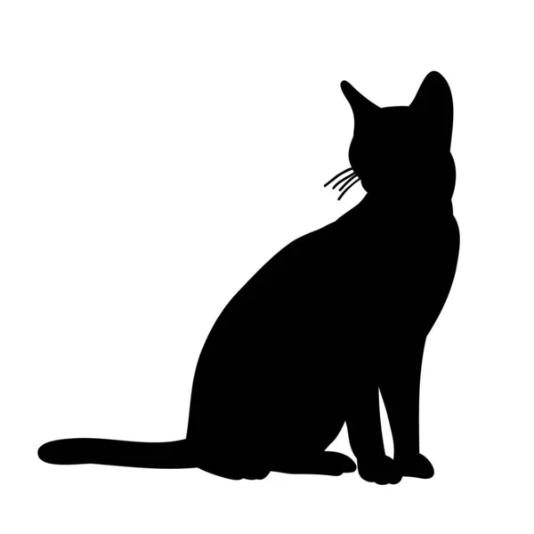 Izolovaná Černá Silueta Kočka Sedí — Stockový vektor