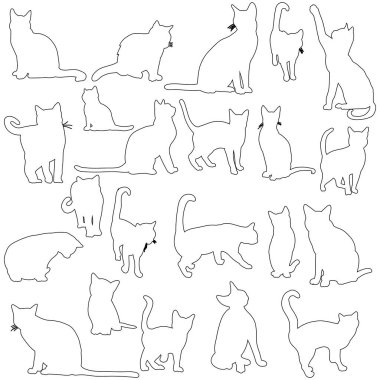 vektör, izole, kedi hatlarının siyah silueti, set